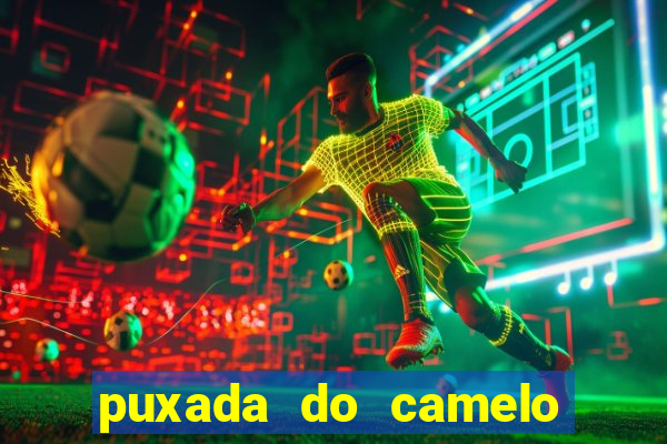 puxada do camelo no jogo do bicho